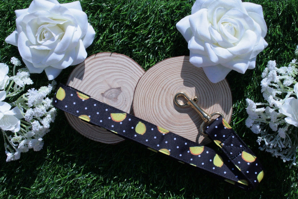 Black Lemon Dog Collar (Optional Matching Lead Set)