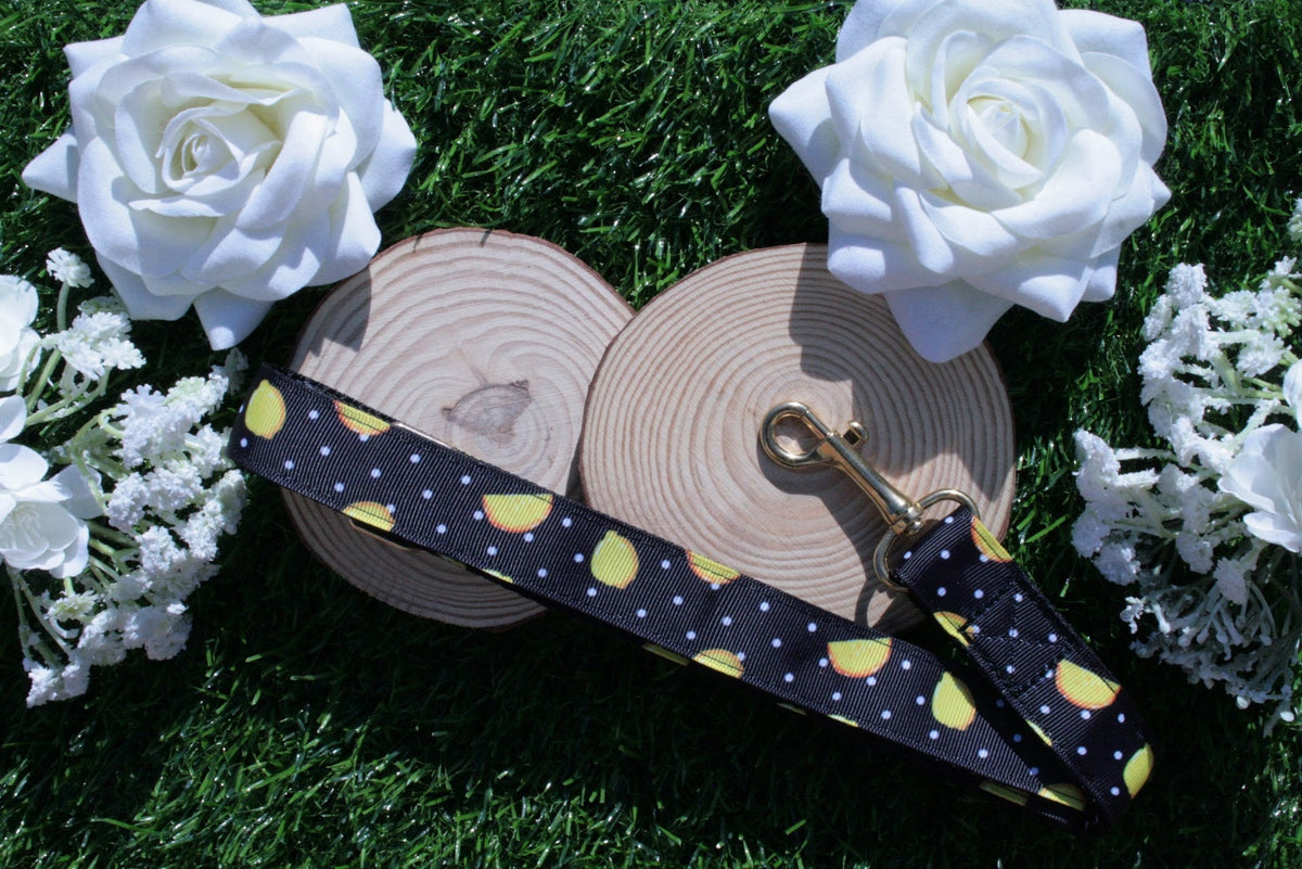 Black Lemon Dog Collar (Optional Matching Lead Set)