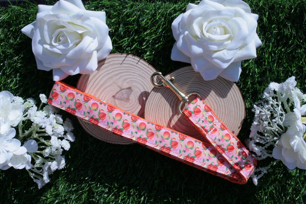 Orange and Pink Peaches Dog Collar (Optional Matching Lead Bundle)