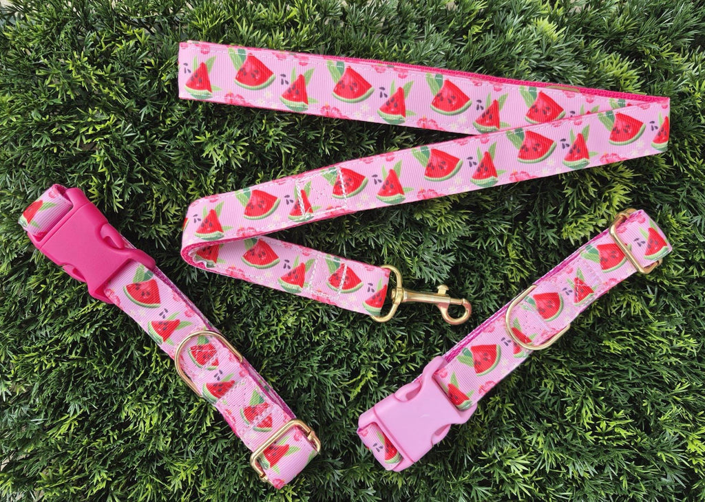 Pink Watermelon Dog Collar (Optional Matching Lead Set)