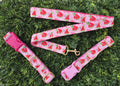 Pink Watermelon Dog Collar (Optional Matching Lead Set)