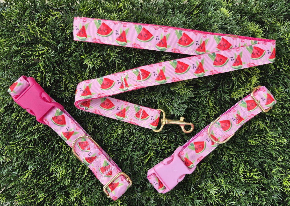 Pink Watermelon Dog Collar (Optional Matching Lead Set)