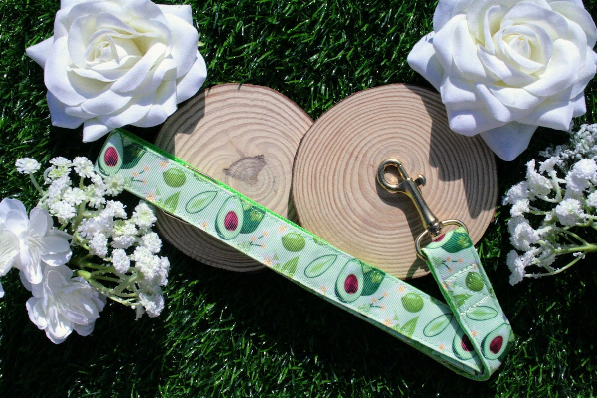 Green Avocado Dog Collar (Optional Matching Lead Set)