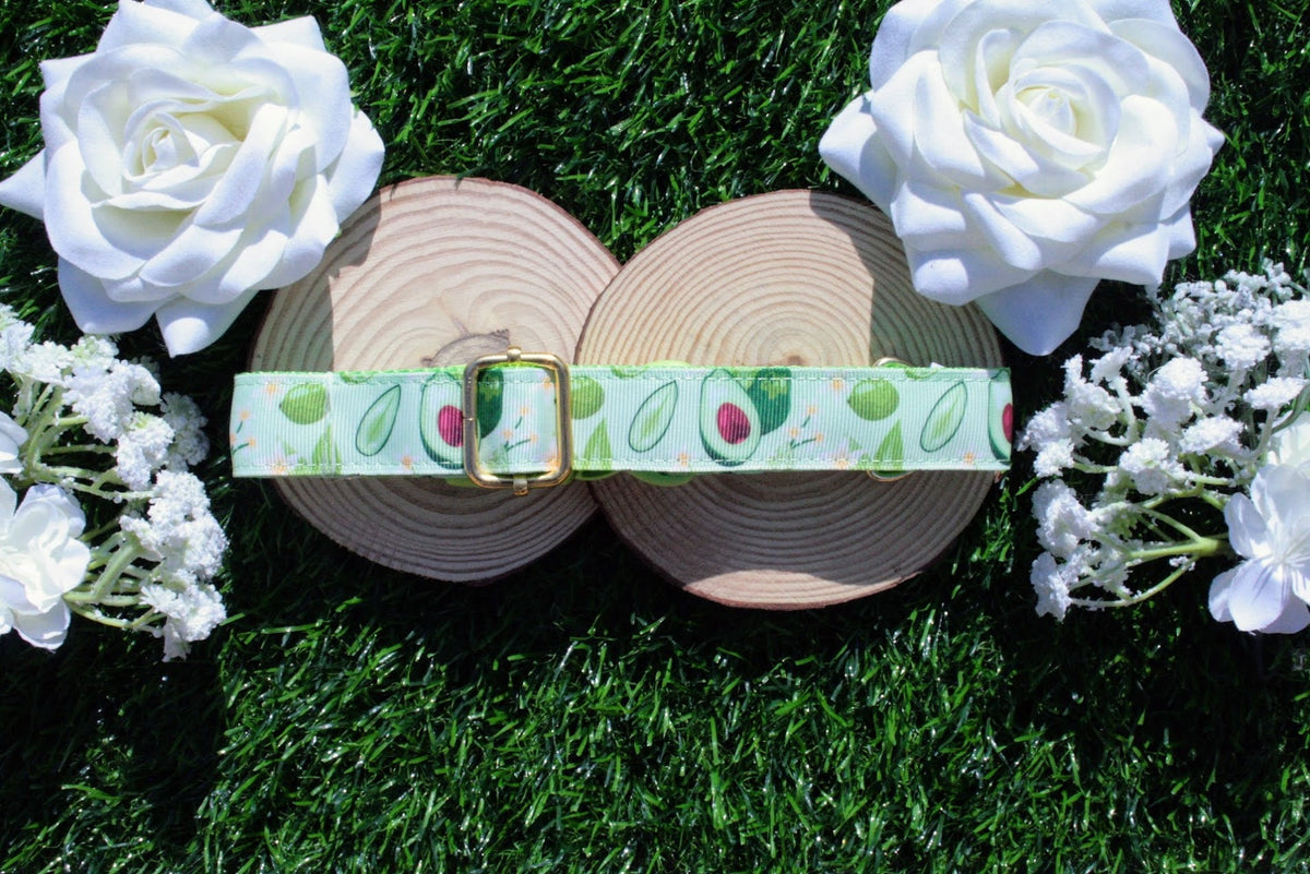Green Avocado Dog Collar (Optional Matching Lead Set)