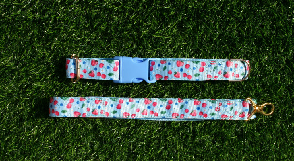 Cherry Blue and Pink Adjustable Collar (Optional Matching Lead Bundle)