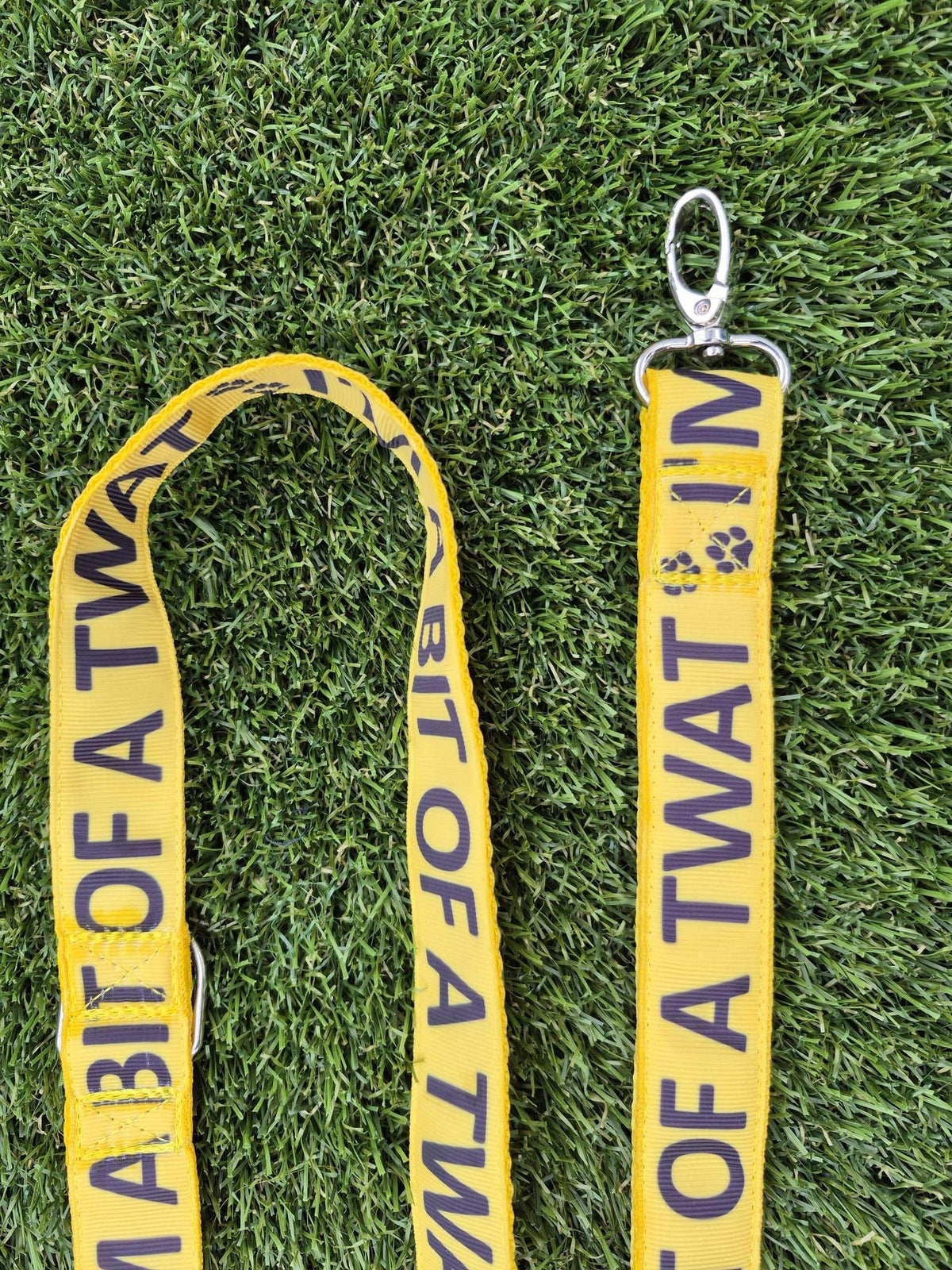 "I'm a Bit of a Twat" Joke Dog Lead (Optional Carabiner Attachment)