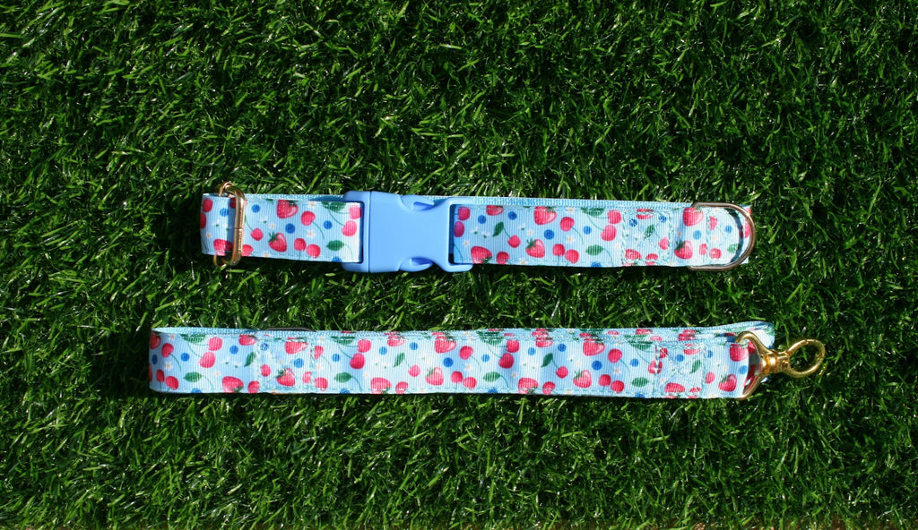 Cherry Blue and Pink Adjustable Collar (Optional Matching Lead Bundle)
