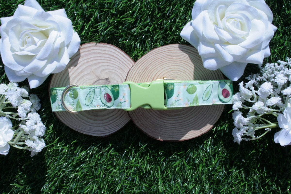 Green Avocado Dog Collar (Optional Matching Lead Set)