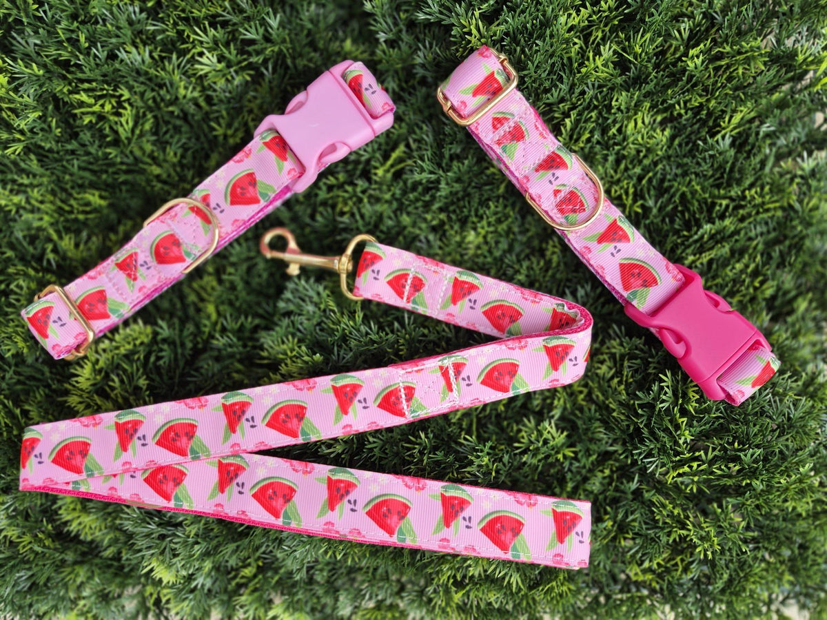 Pink Watermelon Dog Collar (Optional Matching Lead Set)