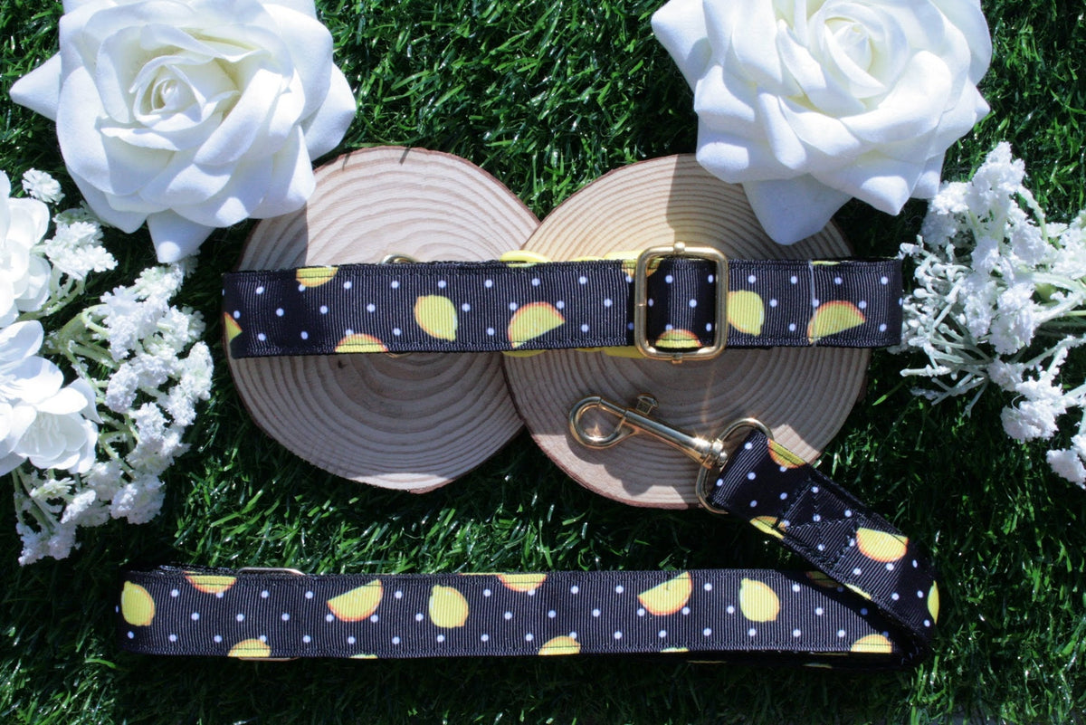 Black Lemon Dog Collar (Optional Matching Lead Set)