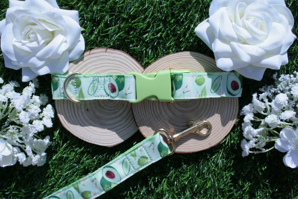 Green Avocado Dog Collar (Optional Matching Lead Set)