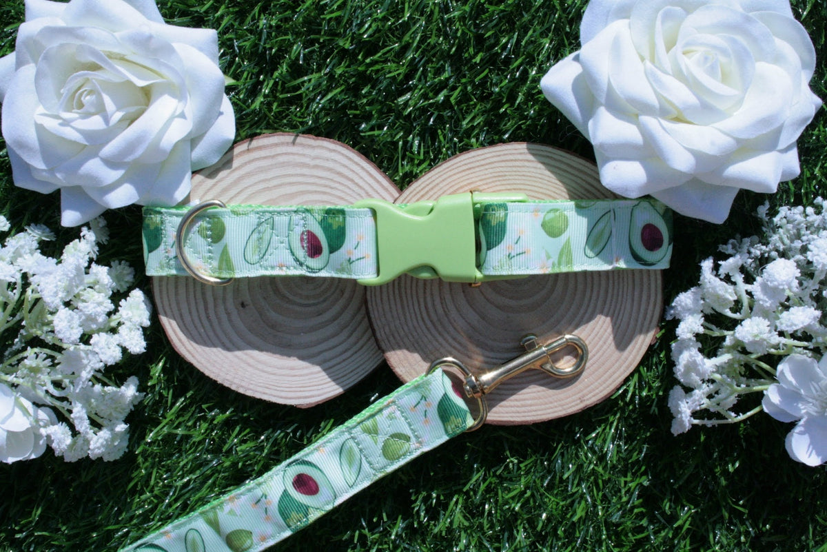 Green Avocado Dog Collar (Optional Matching Lead Set)