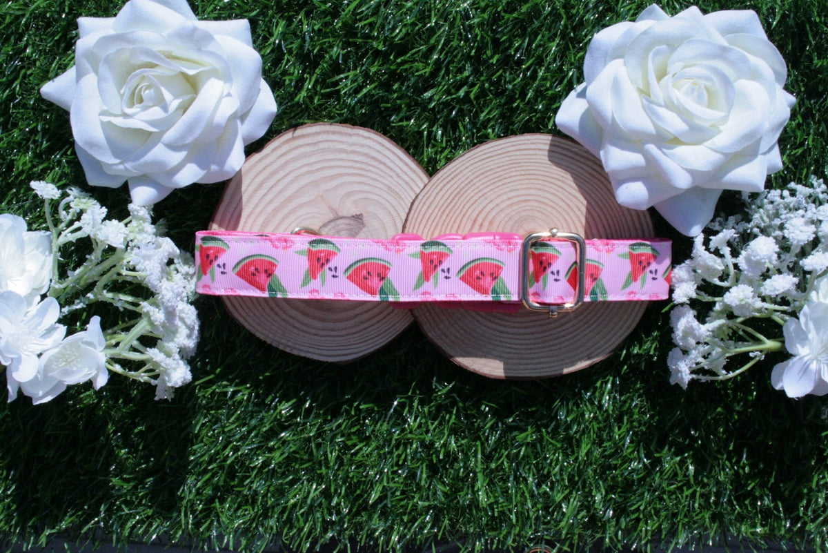 Pink Watermelon Dog Collar (Optional Matching Lead Set)