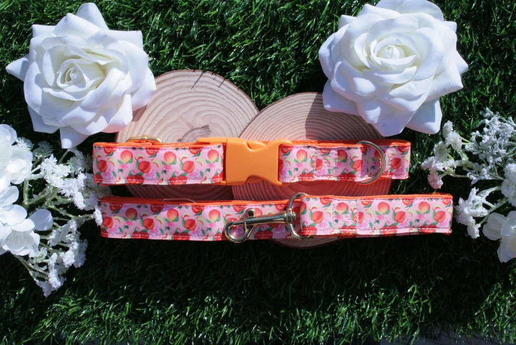 Orange and Pink Peaches Dog Collar (Optional Matching Lead Bundle)