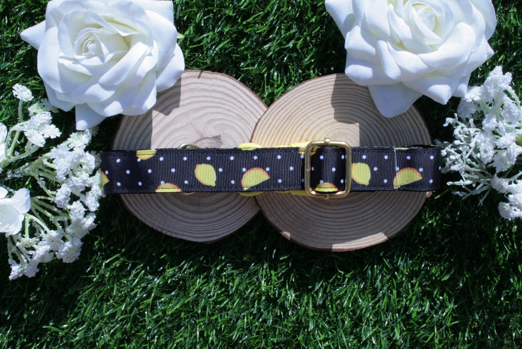 Black Lemon Dog Collar (Optional Matching Lead Set)