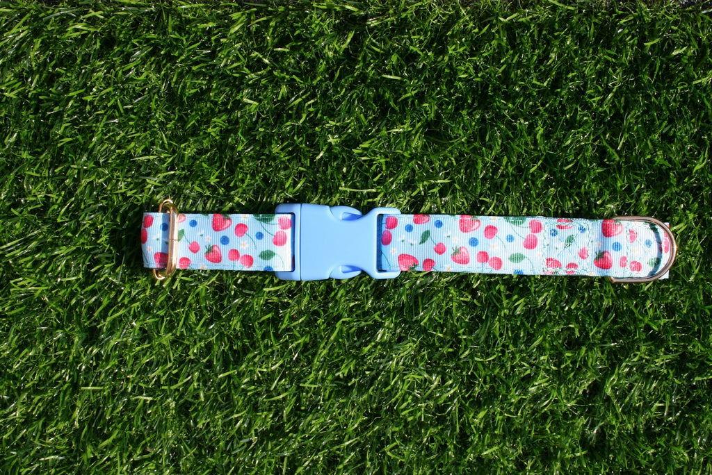 Cherry Blue and Pink Adjustable Collar (Optional Matching Lead Bundle)