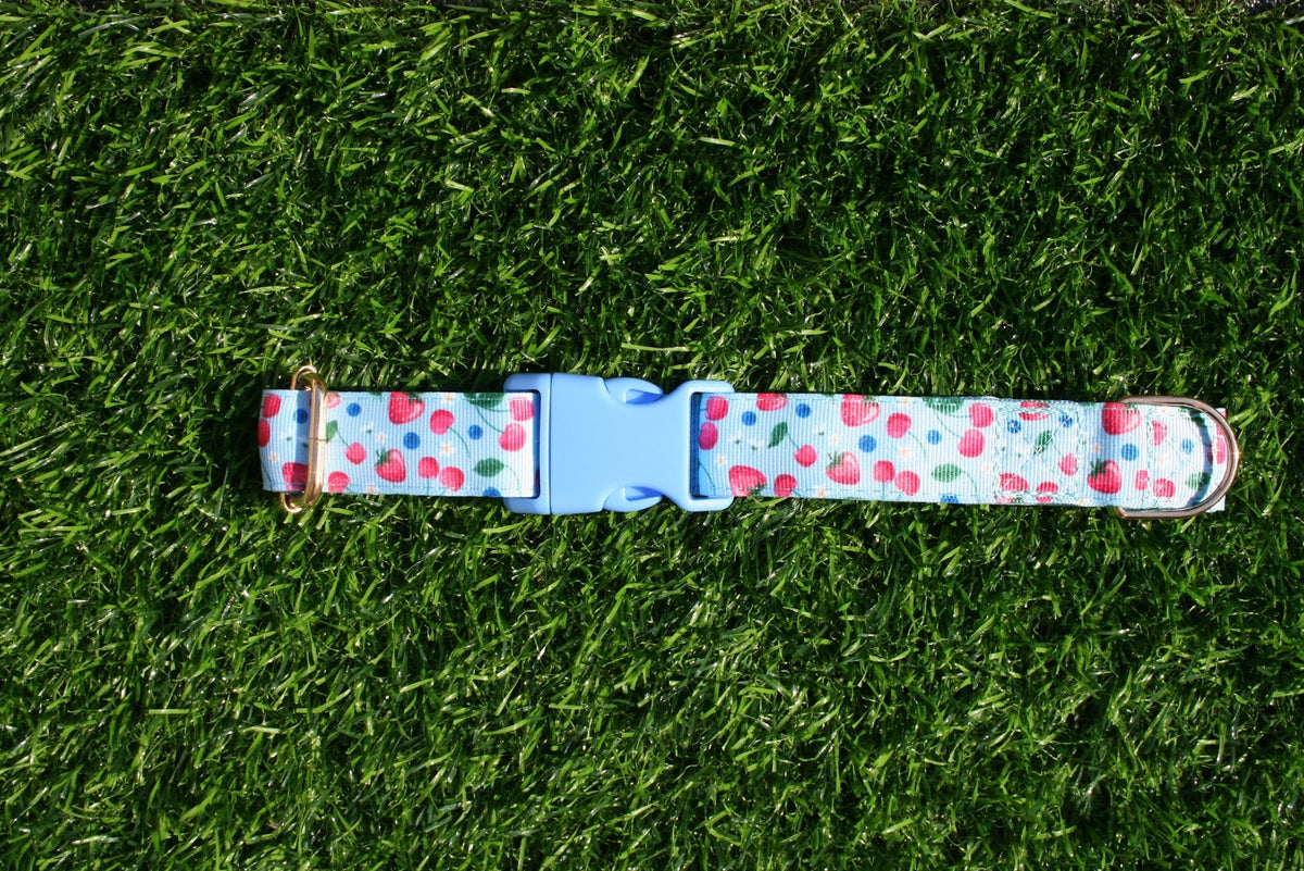 Cherry Blue and Pink Adjustable Collar (Optional Matching Lead Bundle)