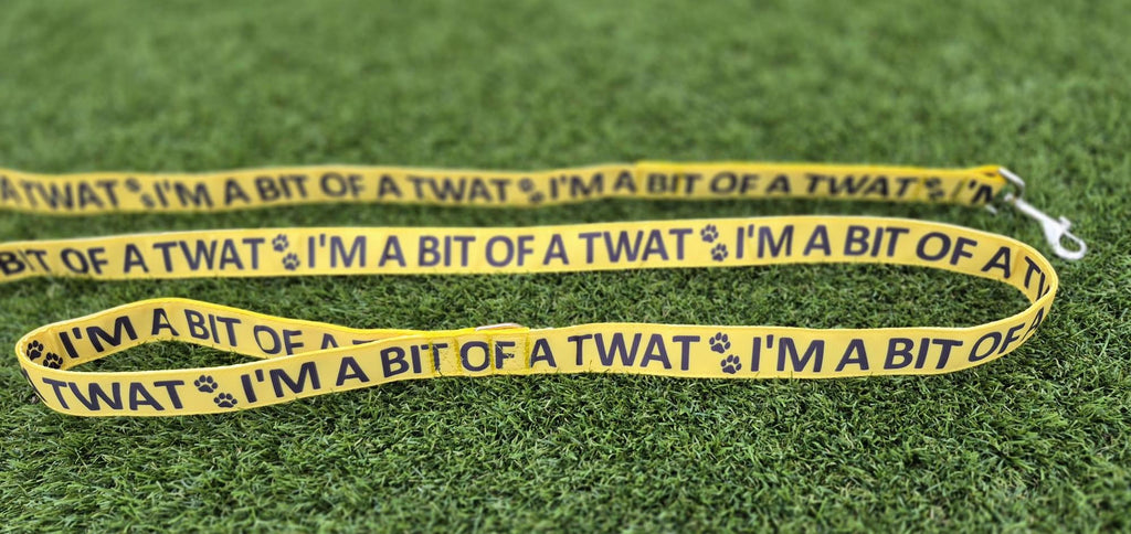 "I'm a Bit of a Twat" Joke Dog Lead (Optional Carabiner Attachment)