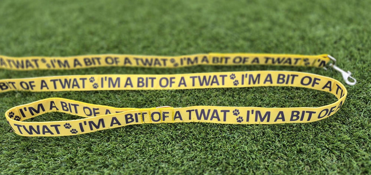 "I'm a Bit of a Twat" Joke Dog Lead (Optional Carabiner Attachment)