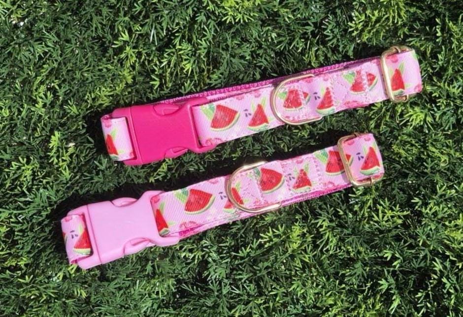 Pink Watermelon Dog Collar (Optional Matching Lead Set)