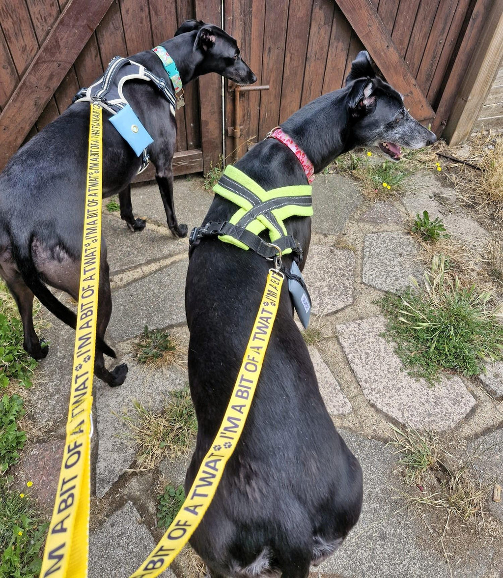 "I'm a Bit of a Twat" Joke Dog Lead (Optional Carabiner Attachment)