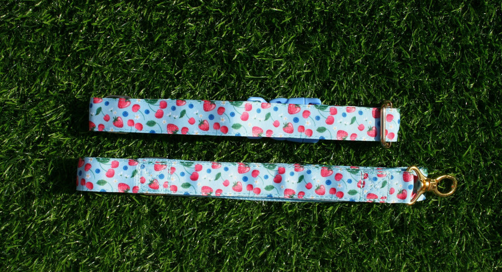 Cherry Blue and Pink Adjustable Collar (Optional Matching Lead Bundle)