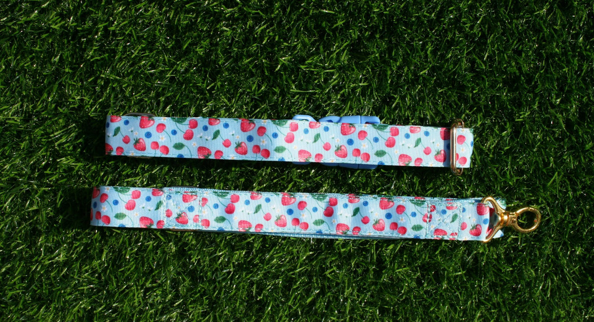 Cherry Blue and Pink Adjustable Collar (Optional Matching Lead Bundle)